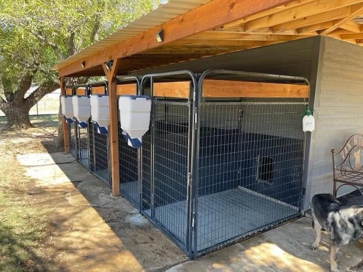 Indoor kennel